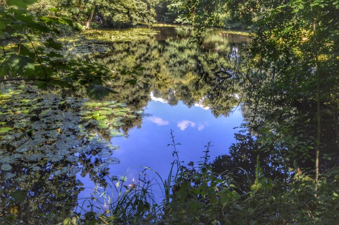 Processed with Snapseed.